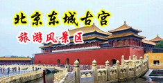 女明星的小穴被人插入的视频中国北京-东城古宫旅游风景区